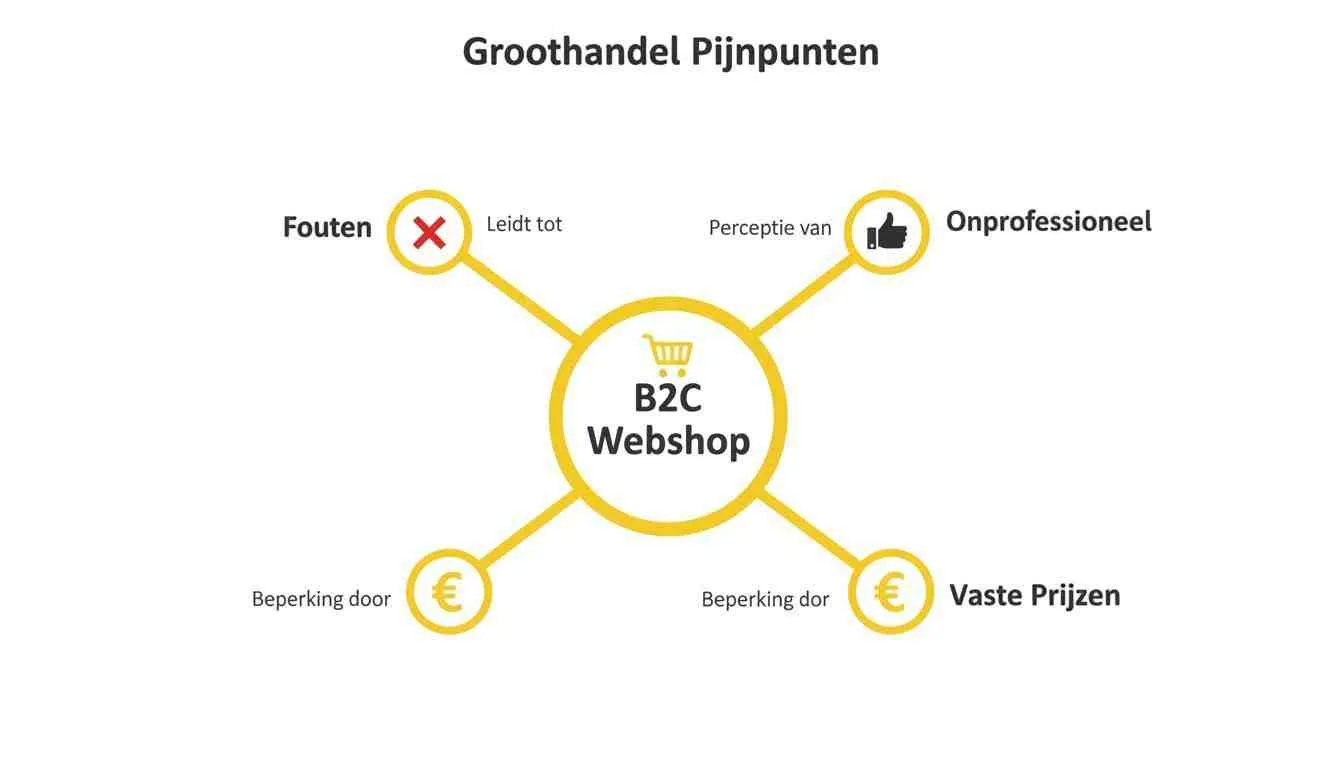 Diagram dat de pijnpunten van een B2C webshop voor groothandel illustreert, zoals fouten, onprofessionele perceptie en vaste prijzen.