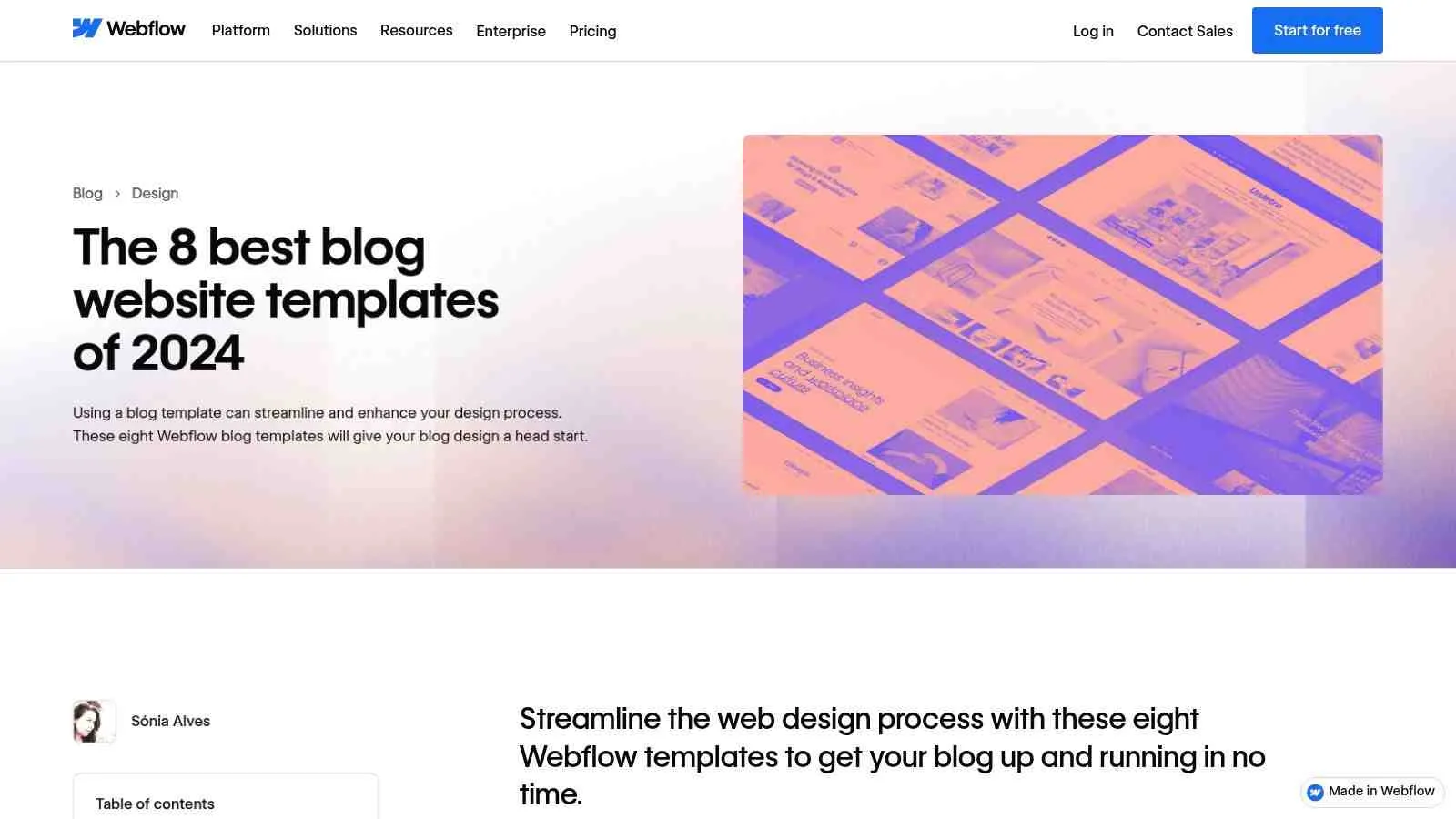 Voorbeeld 4: De How-To (Het 'Probleemoplosser' blog)
