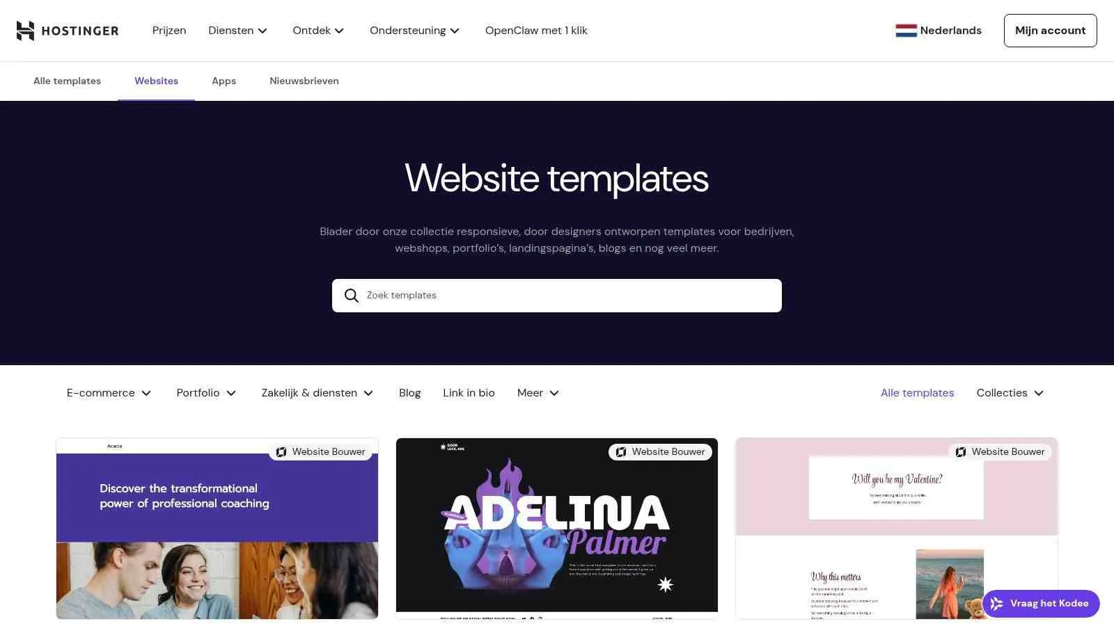 Voorbeeld 1: De Gids (Het 'Pillar Page' blog)